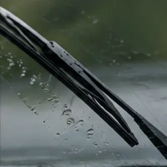 Wipers-Signs-2